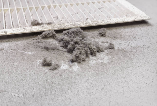 Best Best Air Duct Cleaning Company  in Biscoe, NC