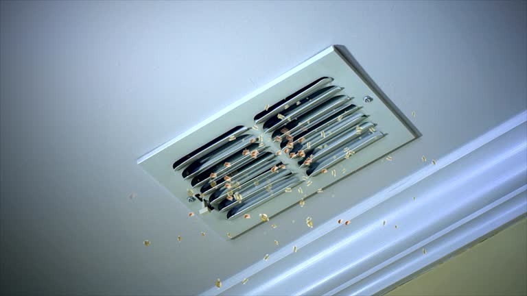 Best Duct Cleaning for Offices  in Biscoe, NC