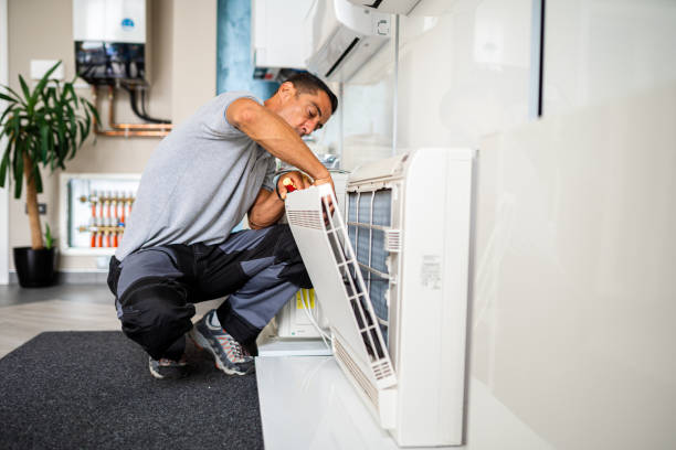 Best Home Air Vent Cleaning  in Biscoe, NC