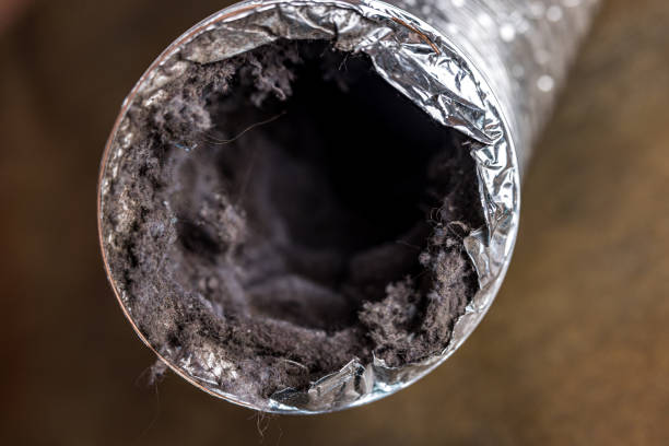 Best Air Duct Cleaning Cost  in Biscoe, NC