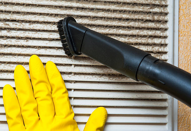 Best Local Air Duct Cleaning Services  in Biscoe, NC
